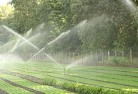 Canley Heightslandscaping-water-management-and-drainage-17.jpg; ?>